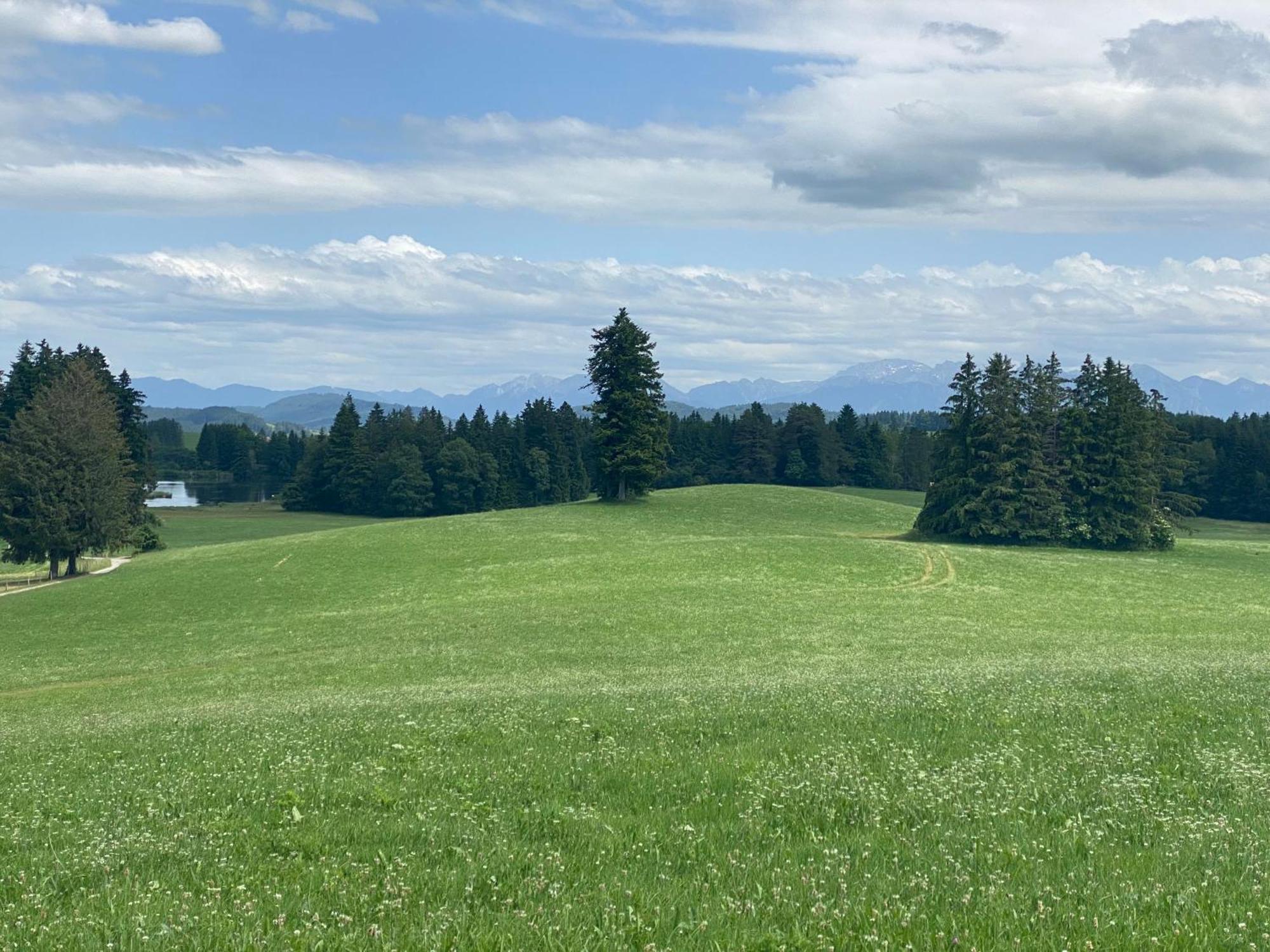 "Allgaeu-Herzl" Alpenchalet Fuer Zwei Ruckholz المظهر الخارجي الصورة